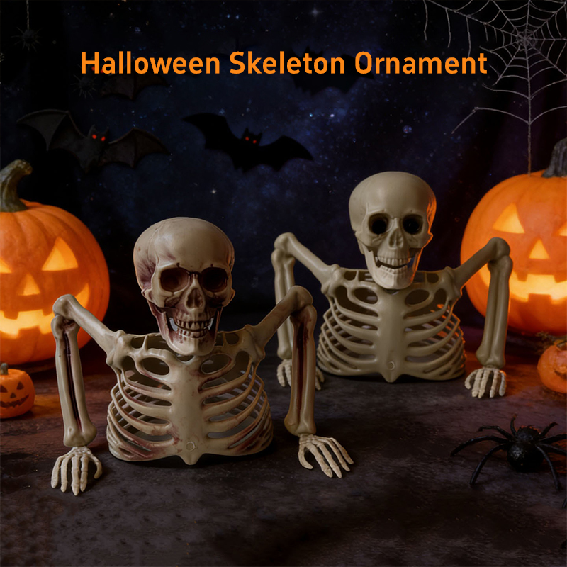 Horror-Halbschädel-Ornament, H – Halloween Skeleton Decoration Bewertung und Preis